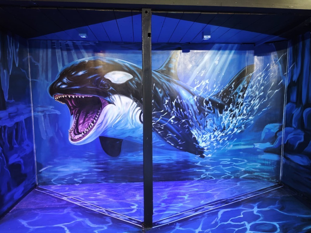 Mural 3D Real de la Orca Gigante en Mundo de Arte 3D